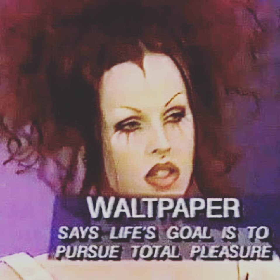 glorianotoのインスタグラム：「2022 vision and gentle reminder of the now - is It actually Monday ? // #clubkids @waltcassidy」