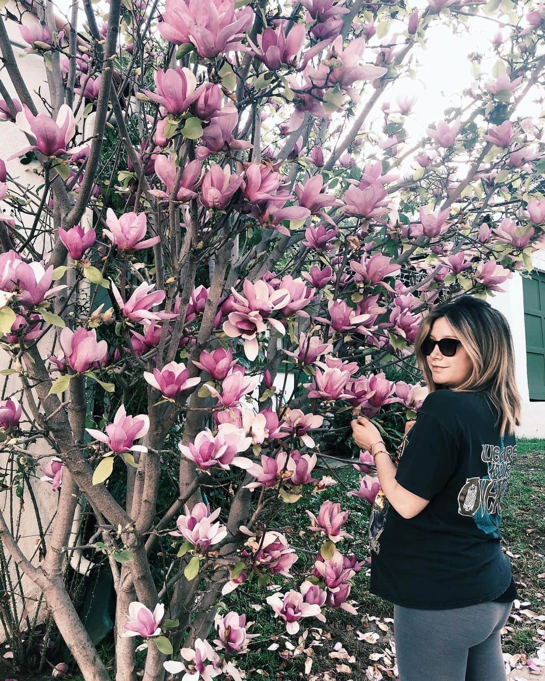アシュレイ・ティスデイルのインスタグラム：「I love a cherry blossom 🌸 and magnolia tree 😂」