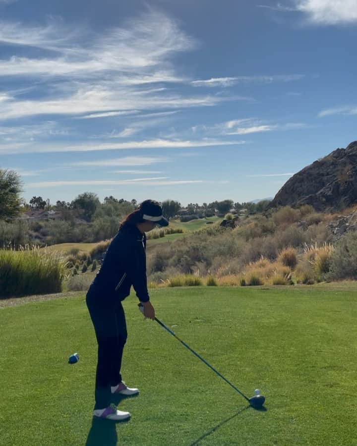 のインスタグラム：「#palmsprings #🌵」