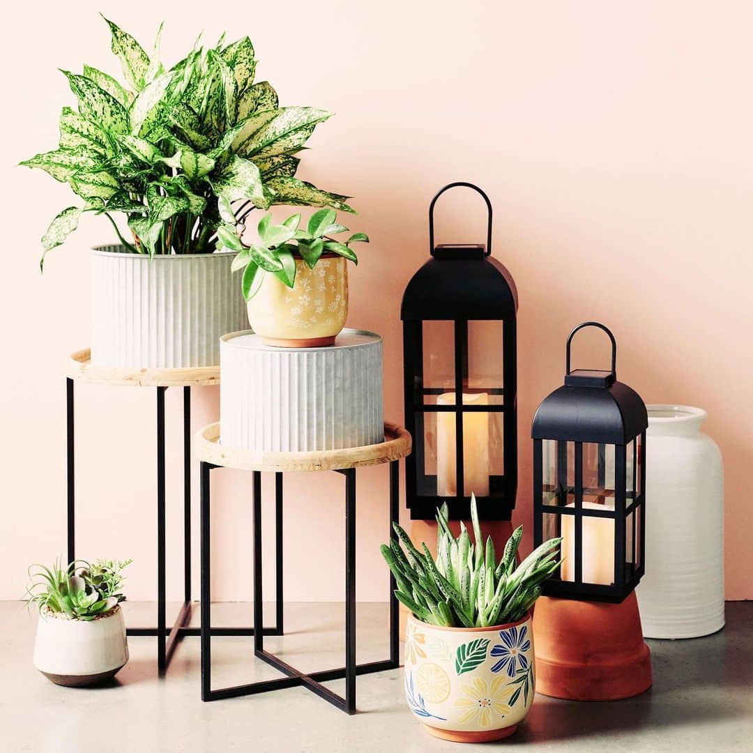 ロック&リパブリックのインスタグラム：「Double tap if you’re ready for spring too! 🍃 We’ve got all the planters and decor you need. #Kohls」