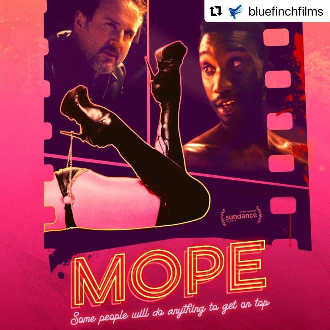 デヴィッド・アークエットさんのインスタグラム写真 - (デヴィッド・アークエットInstagram)「Please check out this film! #Repost @bluefinchfilms with @make_repost ・・・ 'SHOCKING...MOPE IS EVERTHING YOU'D WANT FROM A FILM LIKE THIS' - #flickeringmyth  The Sundance premiere- MOPE is available digitally in the UK and Australia today!  #mope #mopefilm #sundance #nathanstewartjarrett #davidarquette #indiefilm #independentfilm #bluefinchfilms #outnow」2月9日 2時04分 - davidarquette