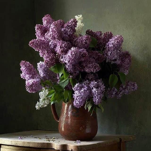 のインスタグラム：「Blooming Monday 💐 Which is your favorite flower ?  #GerardDarel #Flowers #Monday」