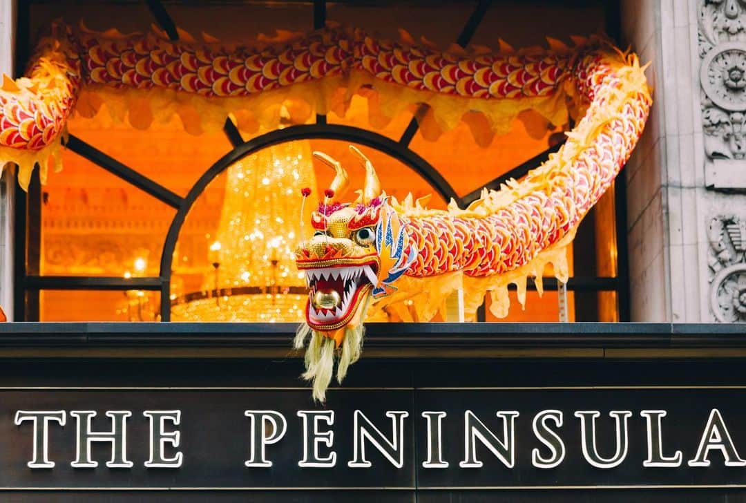 The Peninsula New Yorkさんのインスタグラム写真 - (The Peninsula New YorkInstagram)「Lunar New Year is upon us! Follow along as we share scenes from last year’s celebration.  . . . 📸 @photosalonhelga  . . . #chinesenewyear #chinesenewyear2021 #lunarnewyear #yearoftheox #lunarnewyear2021 #newyorkcity #nyc #newyork #manhattan #architecture #buildings」2月9日 2時21分 - thepeninsulanyc