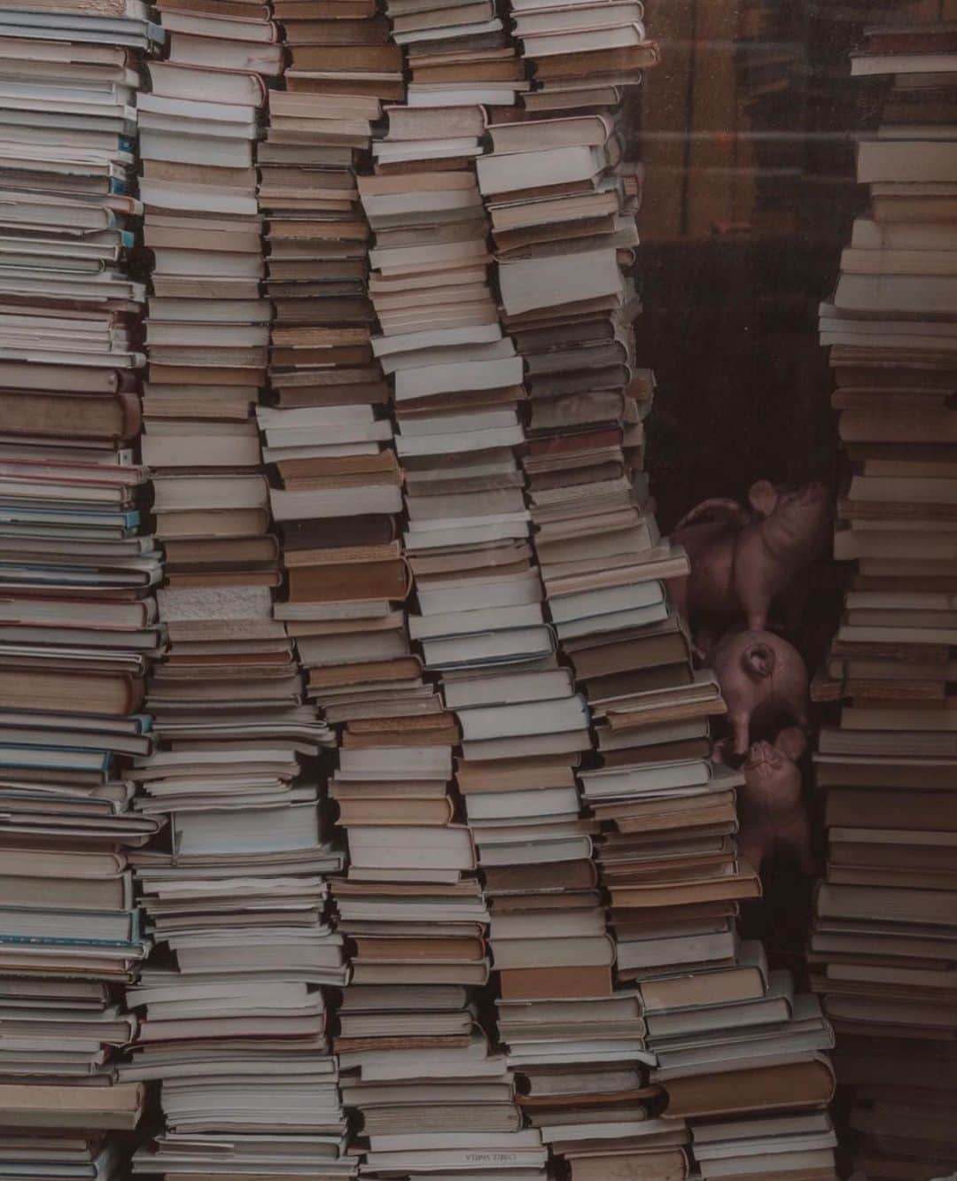 イネスドゥラフレサンジュのインスタグラム：「Passion livres 📚  📷 @lapresqueparisienne  #inesdelafressangeparis #inesdelafressange」