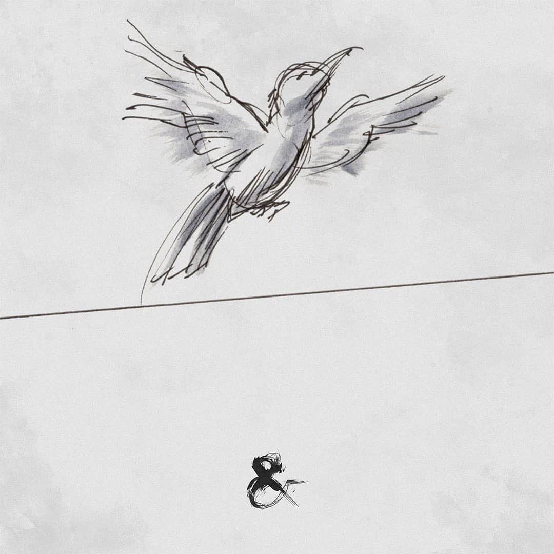 Of Mice & Menのインスタグラム：「Finding vibrance in monochrome, and life through wires. Projections in black and white. #Timeless」