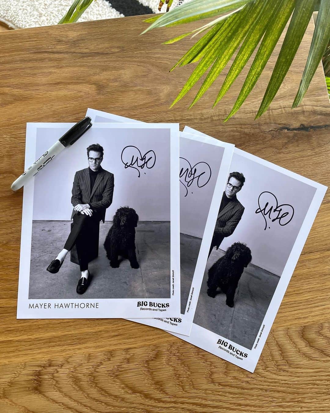 メイヤー・ホーソーンのインスタグラム：「Premium Rare Restock in the web store - all orders today get a free signed 8x10, while supplies last 🐶」