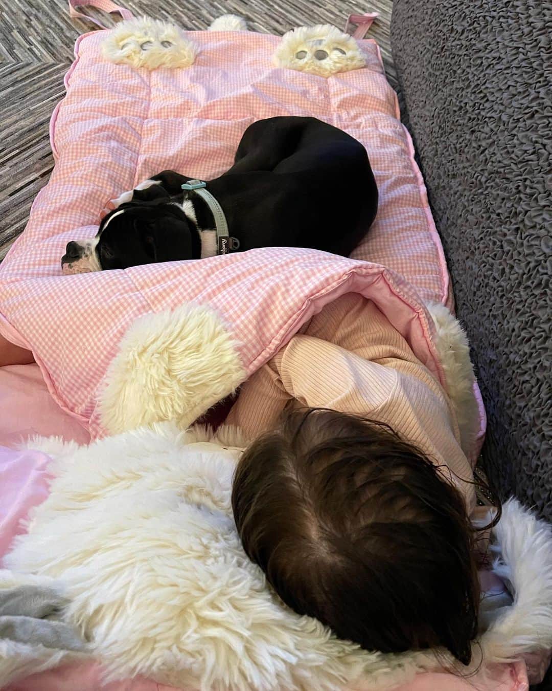 ケイト・アプトンのインスタグラム：「Name a cuter nap buddy... I’ll wait. 🥺💕」