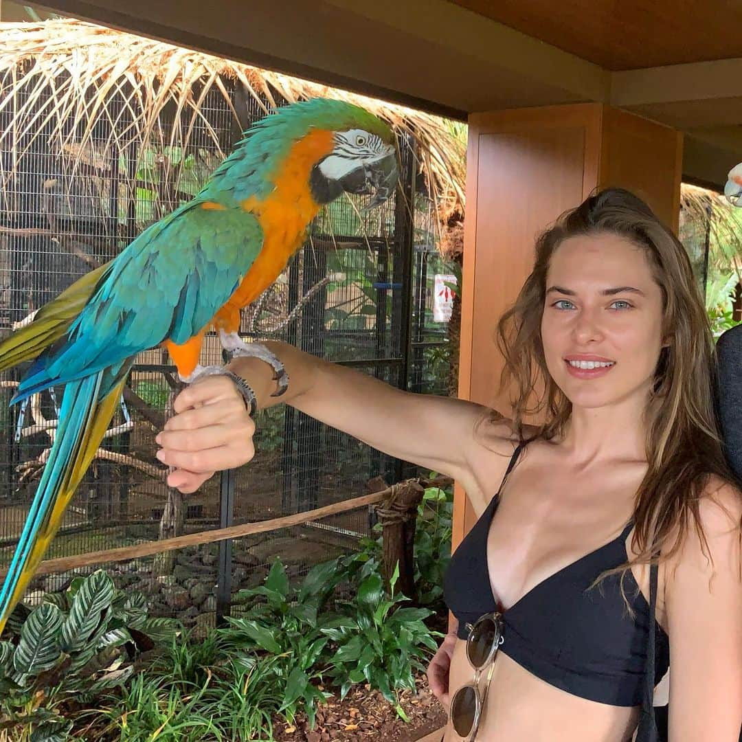 Lana Zakocelaさんのインスタグラム写真 - (Lana ZakocelaInstagram)「That loud bird that kept me up all night !🤪」2月9日 4時17分 - lanazakocela