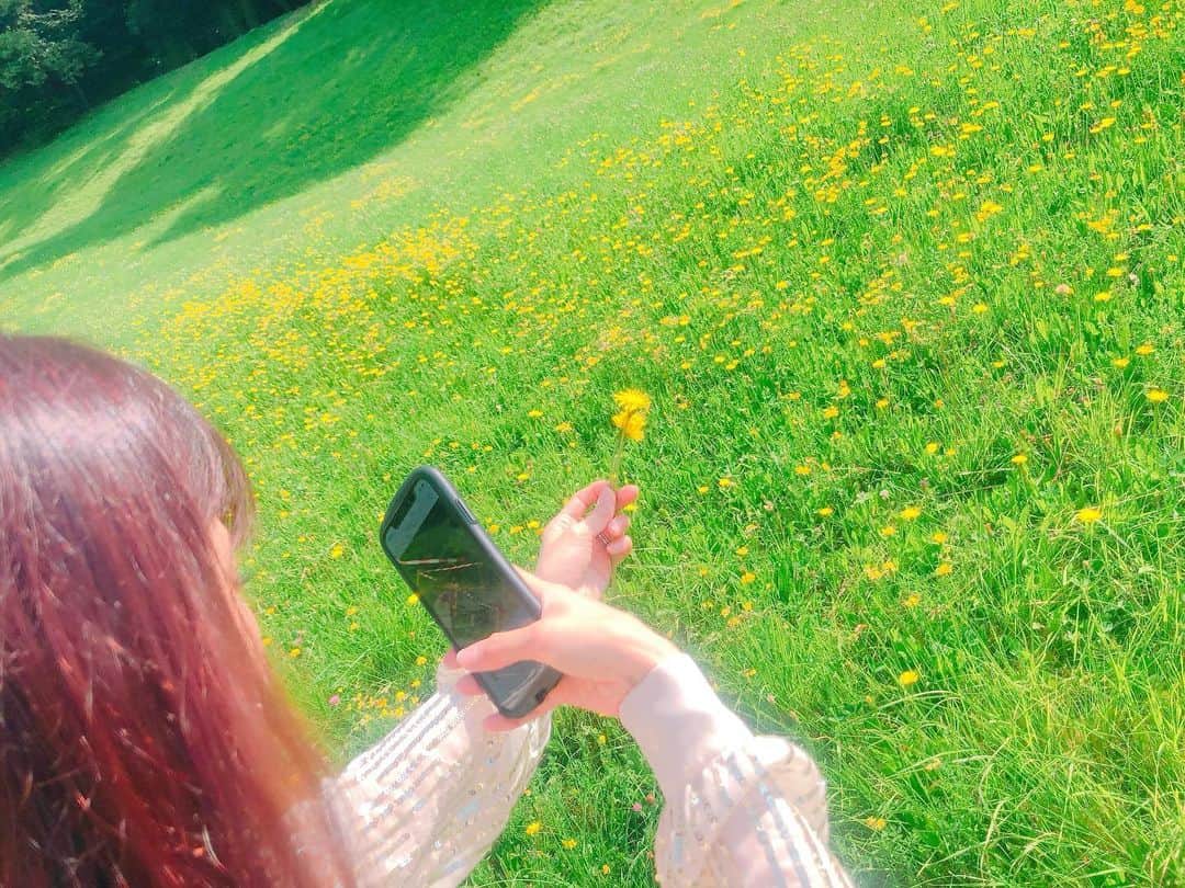 まんまるとまとのインスタグラム：「・ beauty♡ Spring♡ ・ 早く春こないかな ・ 本の中に出てきそうな世界♡ ・ ・ ・ #たんぽぽ #芝生 #春」