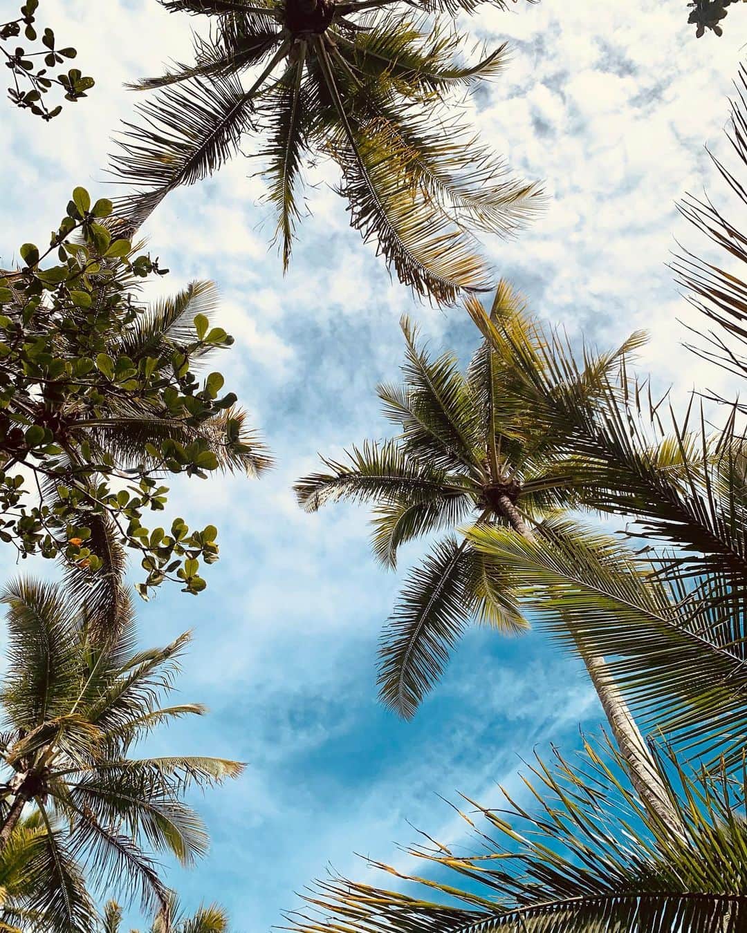 マーロン・テシェイラのインスタグラム：「—- “Dream on.” 🍃🌴🌞💭 —- 🎩...Peace&Light...♻️ —- #KeepDreaming #VidaNaPraia #GoodVibesOnly」
