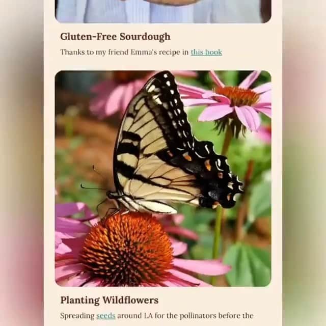 ベス・ベアーズのインスタグラム：「It's official: February is now all about self-love 🌸 Romantic love is great and all, but have you put that same amount of energy you use for Valentine's planning towards your lovely self? 💕   This month's #Harmonics newsletter is available now - sign up at the link in bio to check out some of @bethbehrs’ favorite self-love practices as of late, how she found her Big Voice, learn more about our Creative of the Month @blackgirlinom, @tobemagnetic podcast, @honest.rituals and much more!  @harmonicspodcast  LINK IN MY BIO!   // #HarmonicsPodcast」