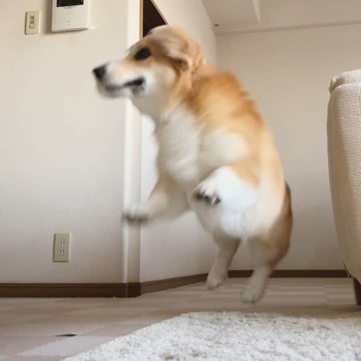 さゆりのインスタグラム：「◡̈⋆2021.2.9.Tue.◡̈⋆ This is so much fun‼️😂😂👌 * ちょっとだけ 飛べた😅🤣🤣👏👏 * * * * * * *」