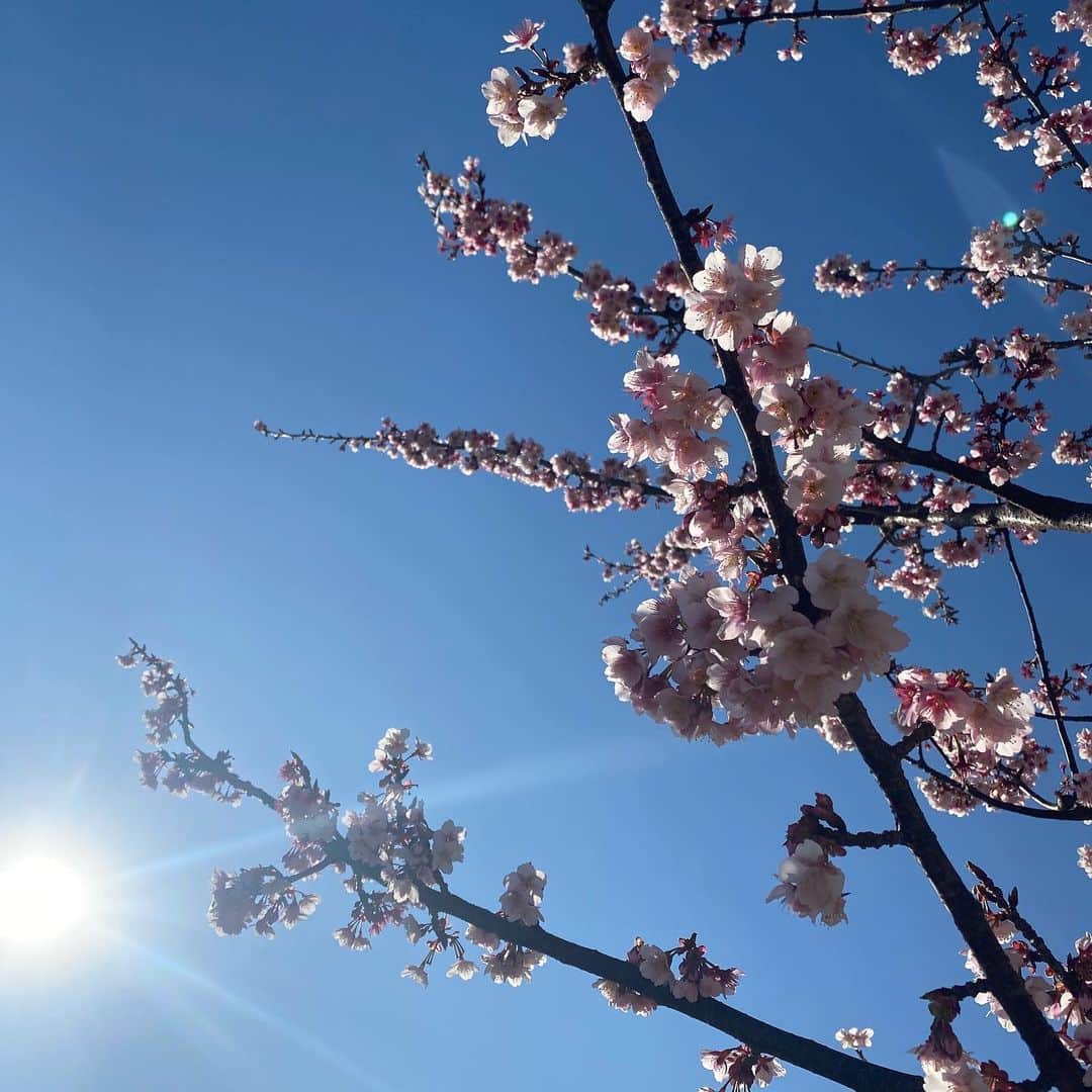 REGSTYLEのインスタグラム：「SAKURA21🌸  今この瞬間に感謝して 生きてることを楽しもう🌸」