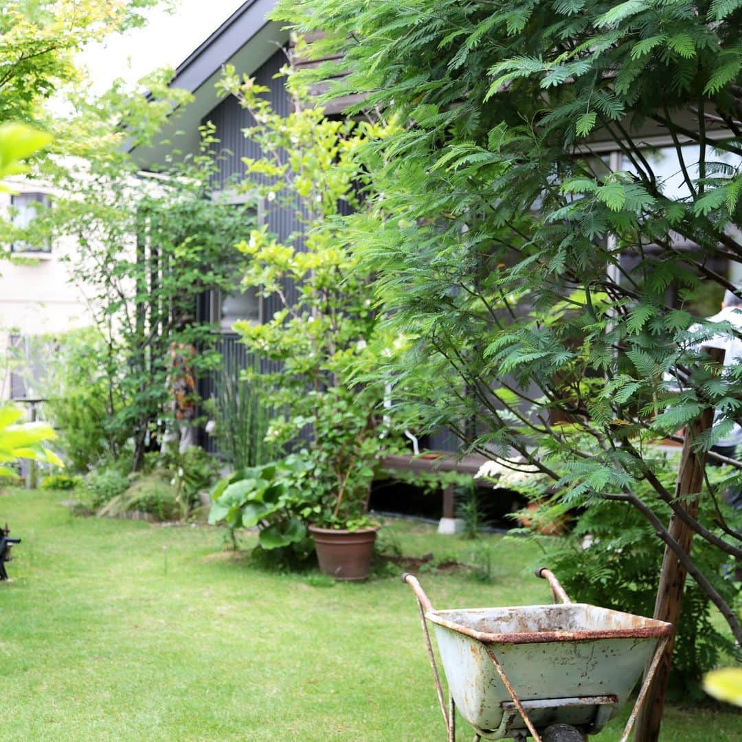 クボタ住建さんのインスタグラム写真 - (クボタ住建Instagram)「「木の家だからできること」  ご夫婦で少しずつ作り上げたお庭。 こんな自然体のお庭に憧れます。 春が待ち遠しいですね。鎌倉市　N邸  #クボタ住建  クボタ住建は優しく温かい自然素材の木の家をつくります HP & more photos→@kubota_jyuken 施工事例多数掲載しております。 ホームページへぜひ↓ https://kubotajyuken.com/ 「只今建築中！クボタ住建の現場だより」ブログも更新しております。↓ https://kubotajyukengenba.exblog.jp/  #クボタ住建 #神奈川の注文住宅 #大和市#湘南の家#suumo注文住宅 #自由設計 #木の家 #無垢の家 #自然素材の家 #和モダンな家 #暮らしをつくる #暮らしを楽しむ #丁寧な暮らし#構造現し#ナチュラルガーデン#みどりのある暮らし#緑を楽しむ#庭づくり#庭のある暮らし  クボタ住建 棟梁の自宅、随時見学受付ます。 資料請求やお問い合わせも是非。 メッセージDMでもどうぞ。」2月9日 15時45分 - kubota_jyuken
