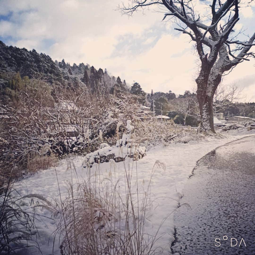 松本隆博のインスタグラム：「。 雪掻きして来ました。 (^_^) 早く世の中が元通りに なります様に…祈るしか ありませんので(^ ^)  2時間歩きました(^ ^) ～人生遊歩道～」