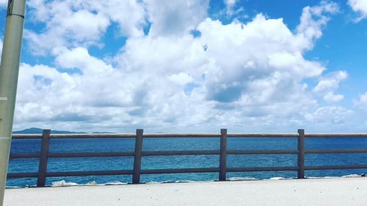 希良梨のインスタグラム：「Good morning  短い動画ですけど 良かったら見てみてください。 少しでも、心がほっこりします様に。 今日もみなさんにとってよい一日になります様に。 I’m born in Japan  I love this county very much  I love u too Thx🙏    #love #japan #like4like #followforfollow #diary #follow4follow #kirari #希良梨 #アニメ好きな人と繋がりたい #漫画好きな人と繋がりたい」