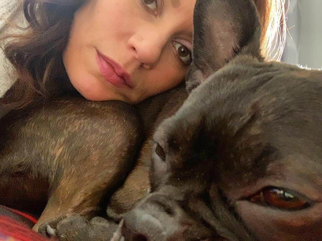 エミリー・スワローのインスタグラム：「Hold our calls.  #meatballmonday #normajeanmeatballs #snugglebuddies」