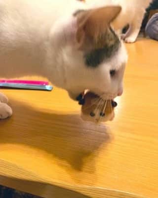 Aww Clubのインスタグラム