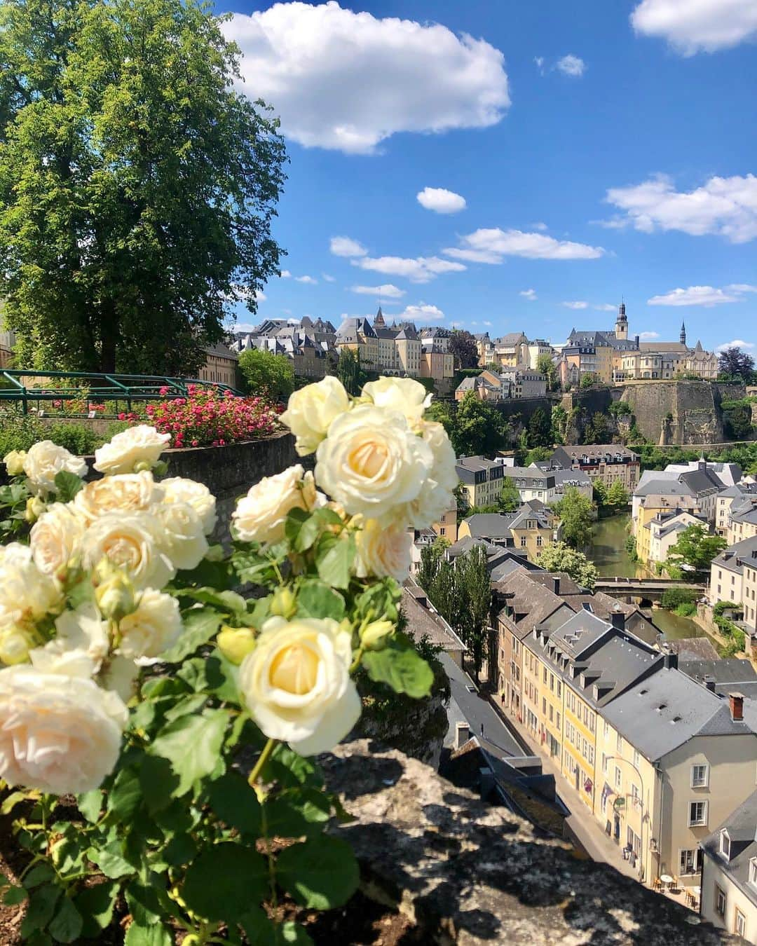 アグネス・ザワツキーのインスタグラム：「A year ago today, I made the jump to move across the pond to this lovely little country. Life takes you on crazy twists and turns, blessed and grateful to be here for the ride ✨ 🌈 💐」