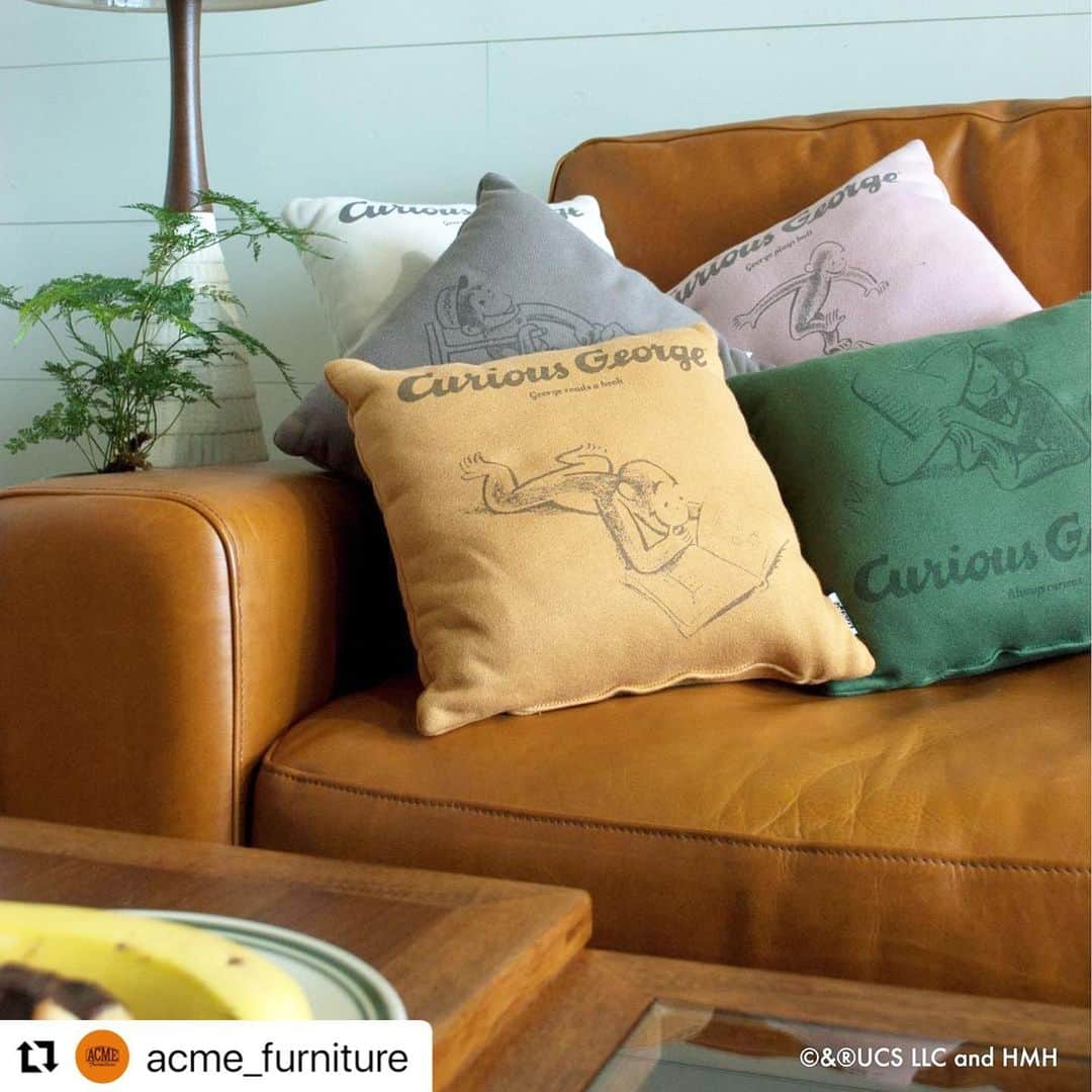 journal standard Furnitureのインスタグラム