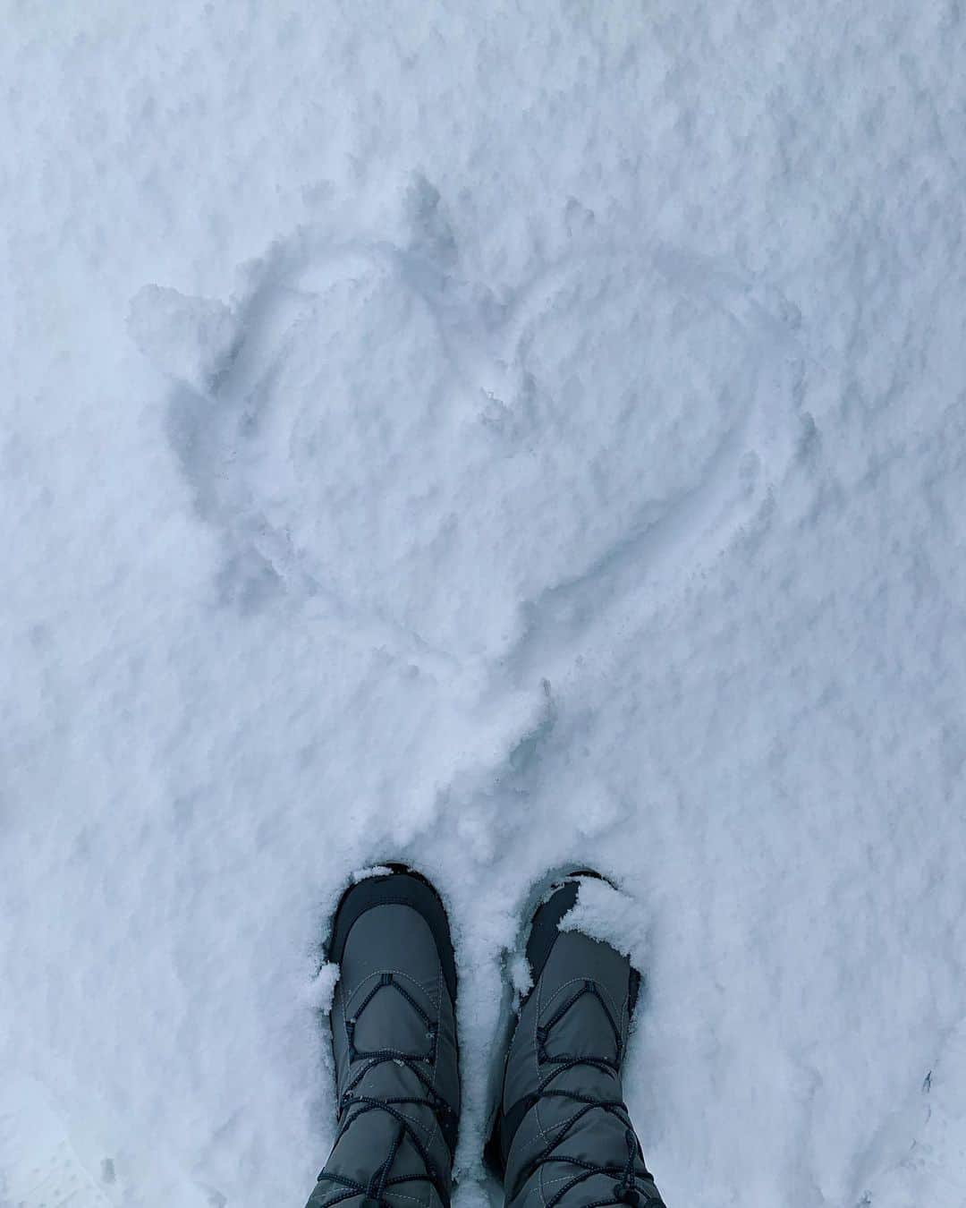 RUBYさんのインスタグラム写真 - (RUBYInstagram)「昨年の雪の思い出☃️ Mameさん初雪❄️  観察していたところ 彼にとって雪とは。 小さな虫が沢山飛んでいる様に見える  って感じで雪に対してハンター化してました😅  #雪 #snow  #cat #猫」2月9日 8時41分 - maui_ruby