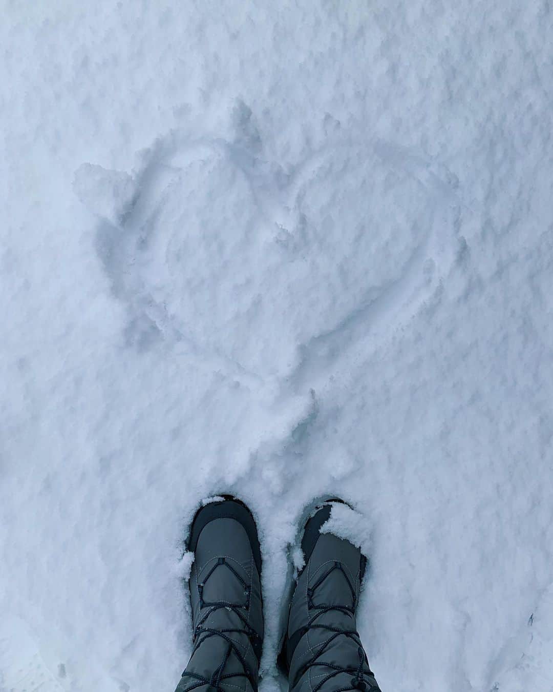 RUBYのインスタグラム：「昨年の雪の思い出☃️ Mameさん初雪❄️  観察していたところ 彼にとって雪とは。 小さな虫が沢山飛んでいる様に見える  って感じで雪に対してハンター化してました😅  #雪 #snow  #cat #猫」