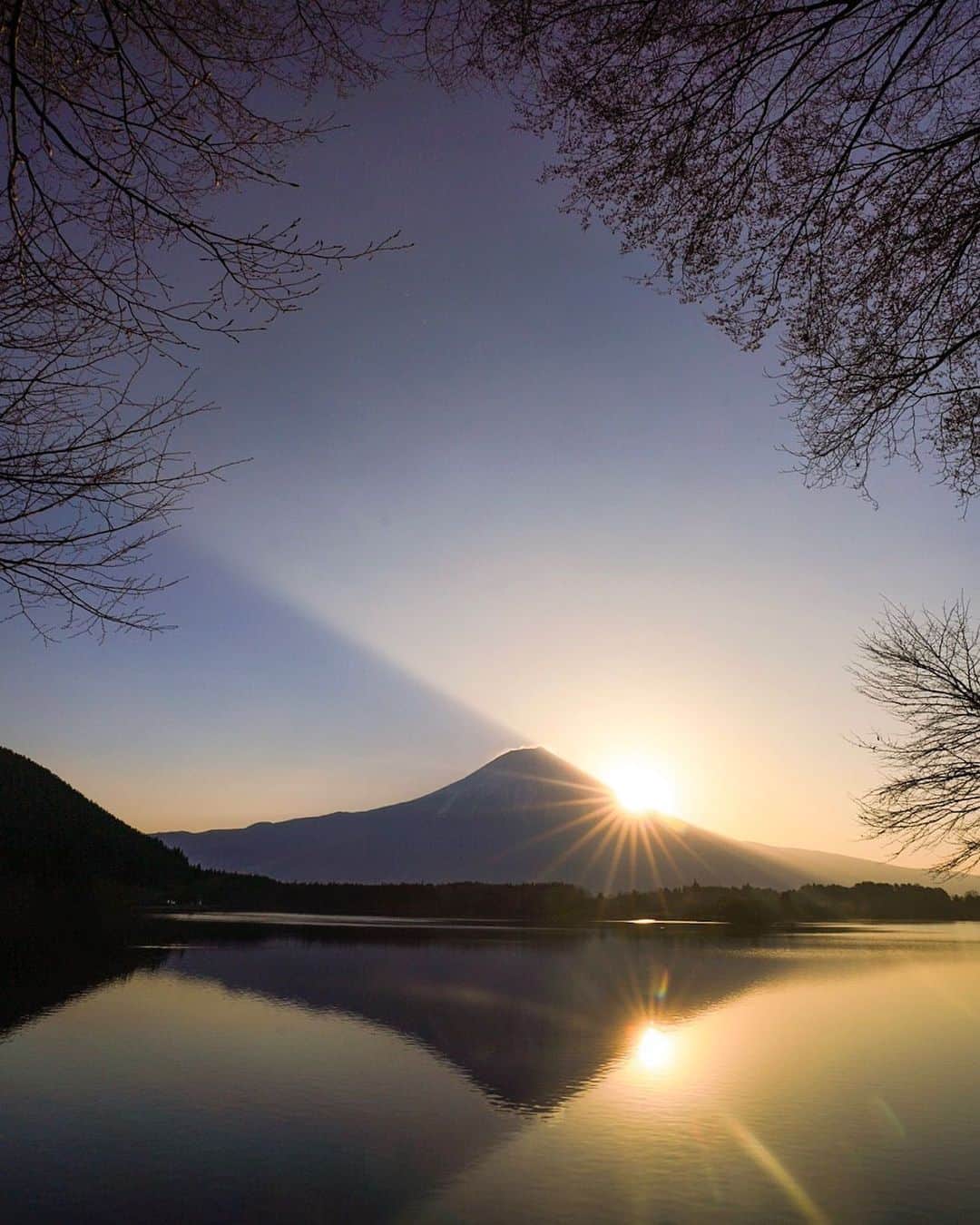 クリス・バーカードのインスタグラム：「The feed your soul kinda light.」