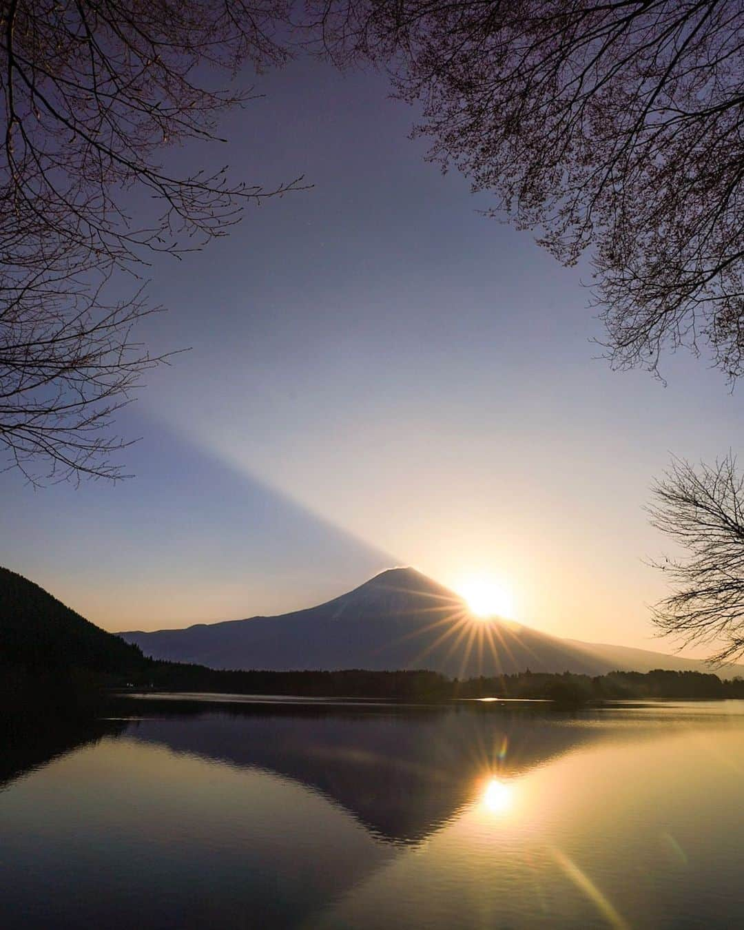 クリス・バーカードさんのインスタグラム写真 - (クリス・バーカードInstagram)「The feed your soul kinda light.」2月9日 8時58分 - chrisburkard