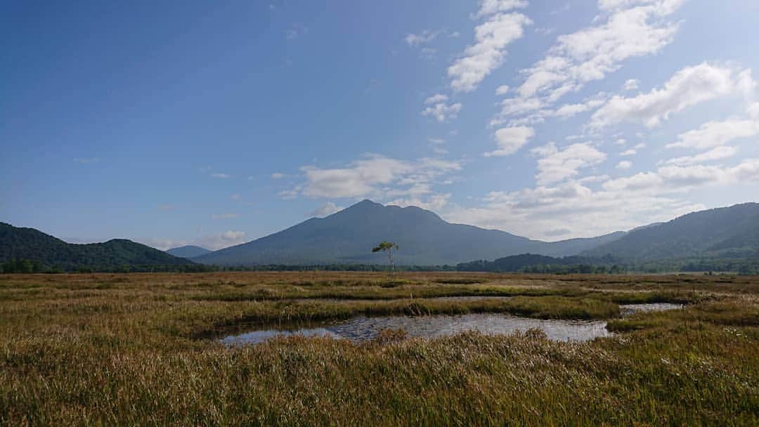 桜花のインスタグラム：「おはようございマウンテン🗻🌷  本日もナイスな１日にいたしましょ✨  懐かしの遥かな尾瀬🍀 今年も行けたらいいな。  #おはよう #尾瀬」