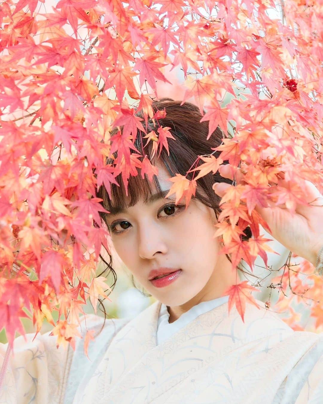 絹野志朋のインスタグラム：「. 今日は美容室で和装の撮影👘 久しぶりのお着物で嬉しい〜っ❤︎  #サロン撮影 も #和装撮影 も わたしの得意分野なので このコラボは嬉しいお仕事🥺💓  さぁ〜頑張っていきましょう🥰 . . #モデル #関西モデル #大阪モデル #サロンモデル #関西サロンモデル #大阪サロンモデル #関西サロモ #大阪サロモ #サロモ希望 #サロモ撮影 #サロンモデル募集 #サロンモデル希望 #着物モデル #和装モデル #着物ヘア  #和装ヘア #着物女子 #着物撮影」