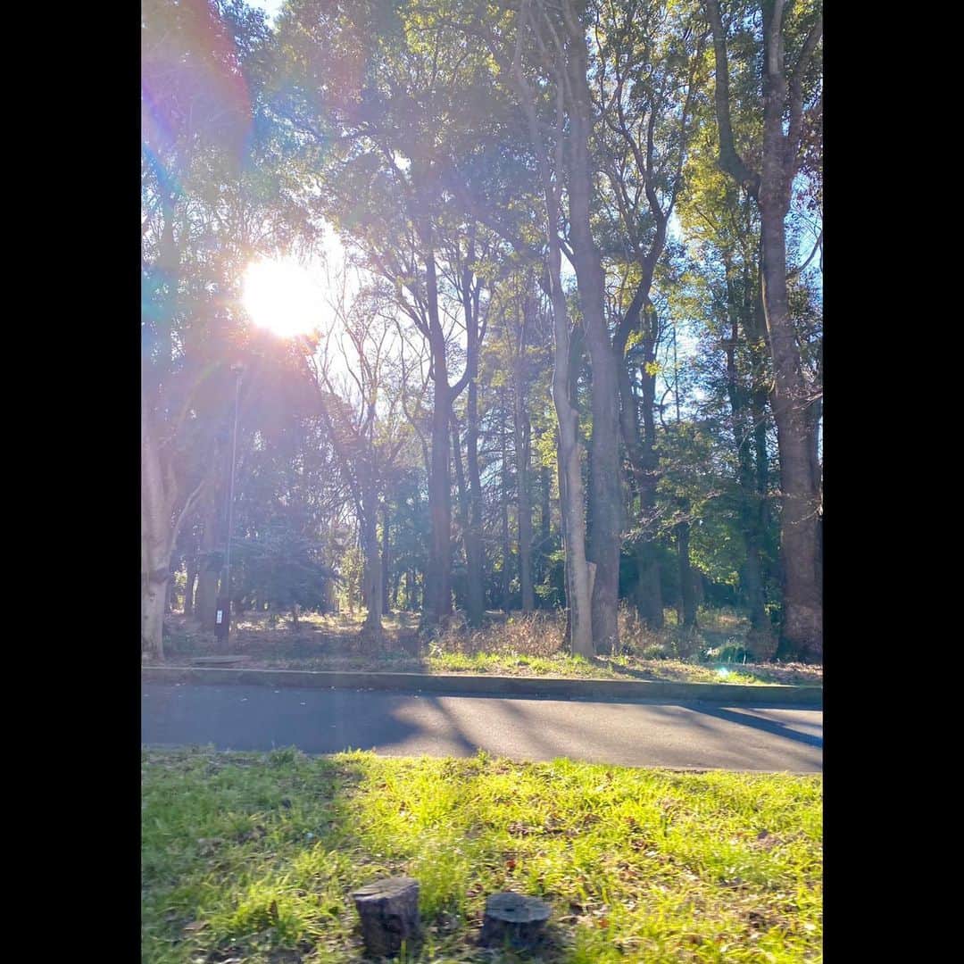 木村拓哉さんのインスタグラム写真 - (木村拓哉Instagram)「﻿ ﻿ 「おはよう御座います！﻿ ﻿ いつもスタジオに向かう途中の朝の景色。﻿ やっぱり木々の間から差し込む太陽の光を見ると気持ちが良いですね！﻿ ﻿ 今日も、お互いに良い1日にしましょうね‼︎」﻿ ﻿ STAYSAFE!﻿ ﻿ 拓哉﻿ #木村拓哉#TakuyaKimura」2月9日 10時03分 - takuya.kimura_tak