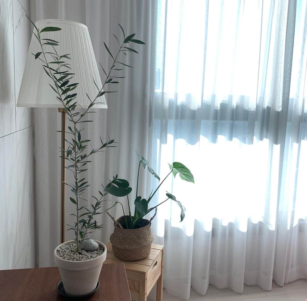 のインスタグラム：「아주 예뻐요🌱」