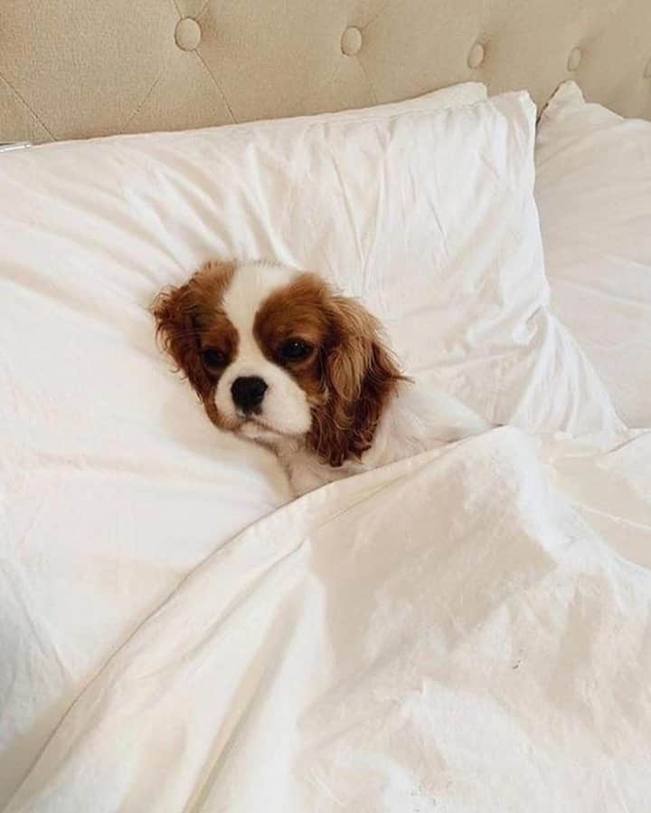 カンパニードプロバンスのインスタグラム：「Mardi matin, en pensant au week-end.⁠ --⁠ Tuesday morning, thinking about the weekend.」