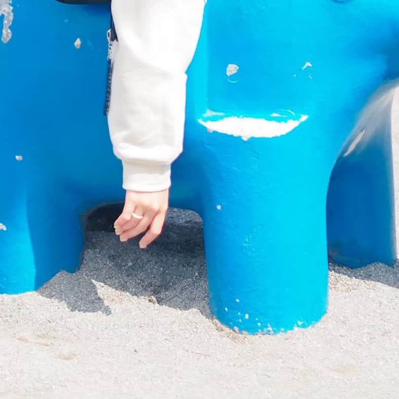 むぎさんのインスタグラム写真 - (むぎInstagram)「#ring」2月9日 11時00分 - mugiusagi