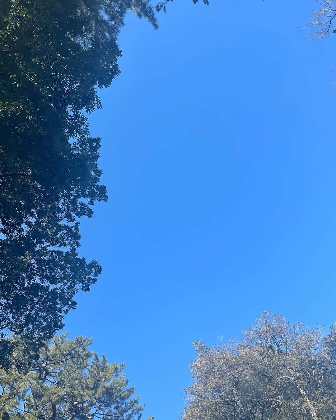 AYUMIさんのインスタグラム写真 - (AYUMIInstagram)「とてもきれいな光 に〝ありがとう‘’って思う  今日も空を見上げて🌈  #自然とつながる #セルフケア #今日という日にも感謝して」2月9日 11時11分 - ayumiayunco