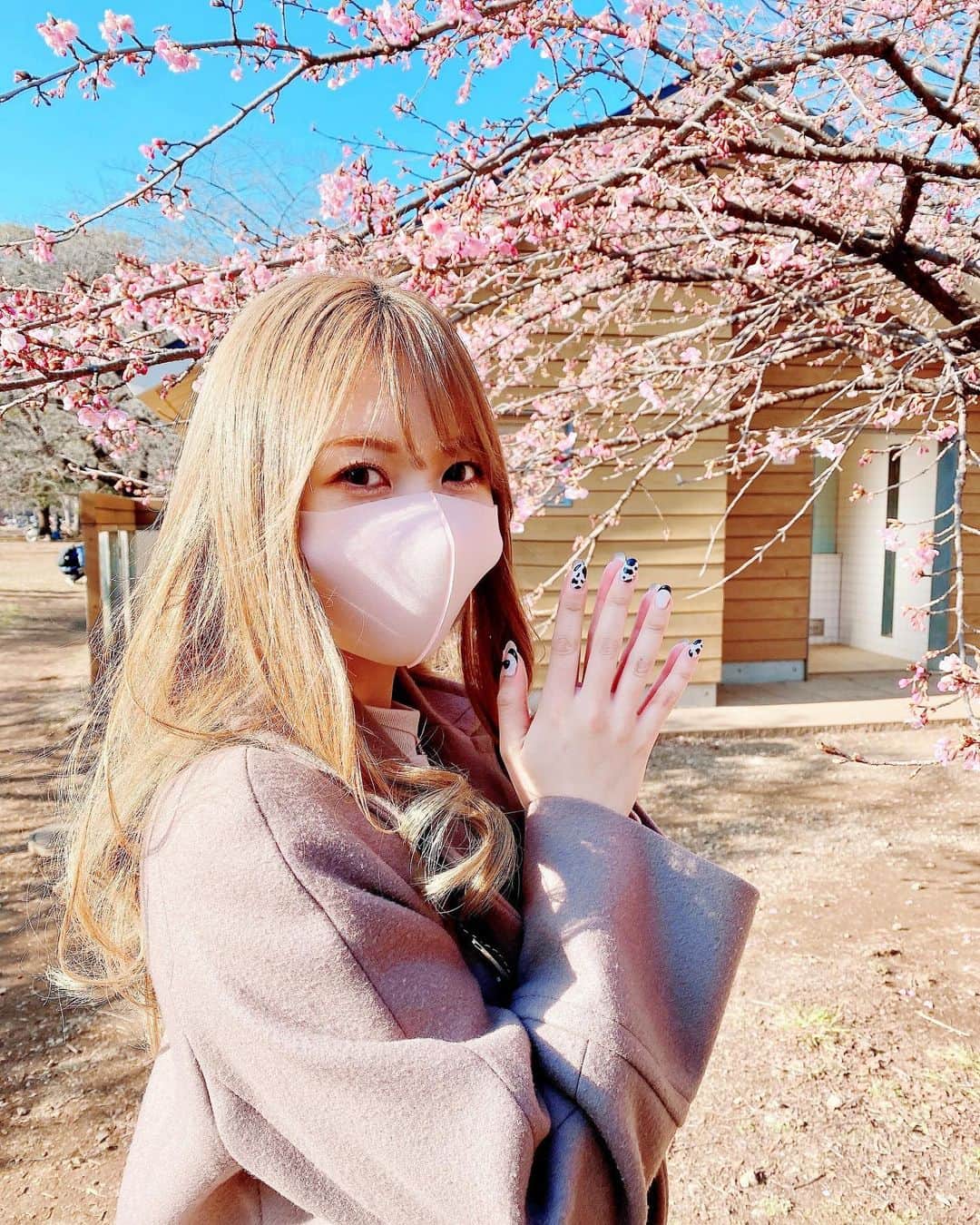 西村季里子のインスタグラム：「・  公園お散歩してたら 梅の花が咲いてた🌸  日中は天気が良いと 春の陽気で嬉しい反面 時が経つの早くて寂しい🥲  あと、 マスクがいつもピアスに引っかかって イライラする😇😇😇(6.7枚目)  マスク生活いつまで〜なの〜  #代々木公園#公園#お散歩#散歩 #梅#梅の木#梅の花#花#flower #マスク#マスク生活#ピアス #ひっかかる#いらいらする #ガン飛ばす#誰も悪くない #ヘアカラー#ブリーチカラー  #follow#followｍe」