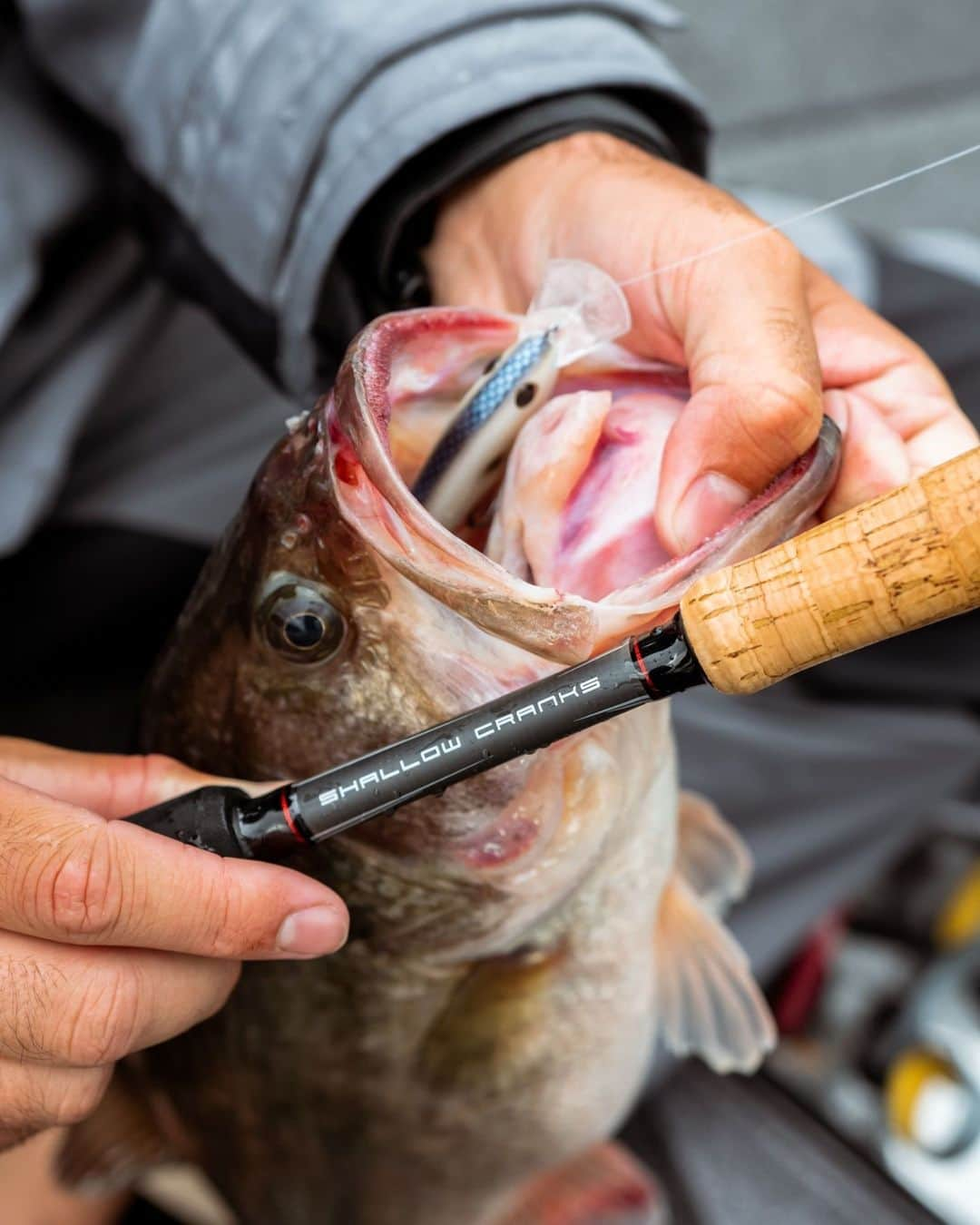 アブガルシアさんのインスタグラム写真 - (アブガルシアInstagram)「WINCH Shallow Cranks + Frittside = Down the hatch 😳 Take notes. ✍️ ✍️ #AbuGarcia #WINCH #Fish2WIn」2月9日 12時06分 - abugarcia_fishing