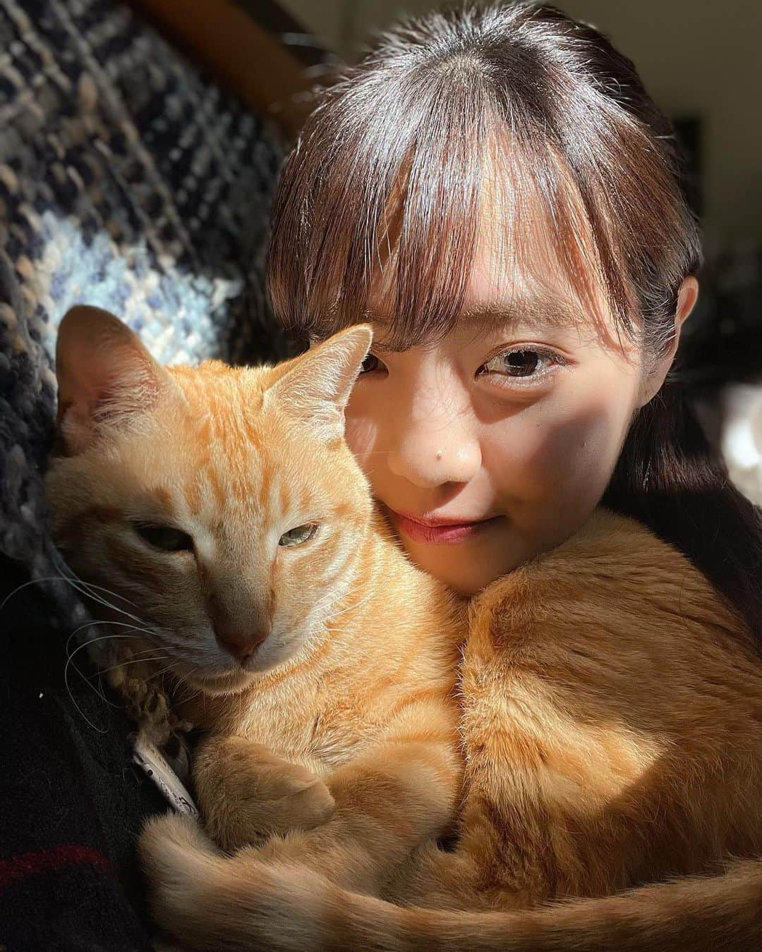 岩本千波さんのインスタグラム写真 - (岩本千波Instagram)「. サブちゃんと日向ぼっこ☀️🐈  #ねこすたぐらむ #ねこのいる生活 #にゃんこ」2月9日 12時27分 - chinami_cohina