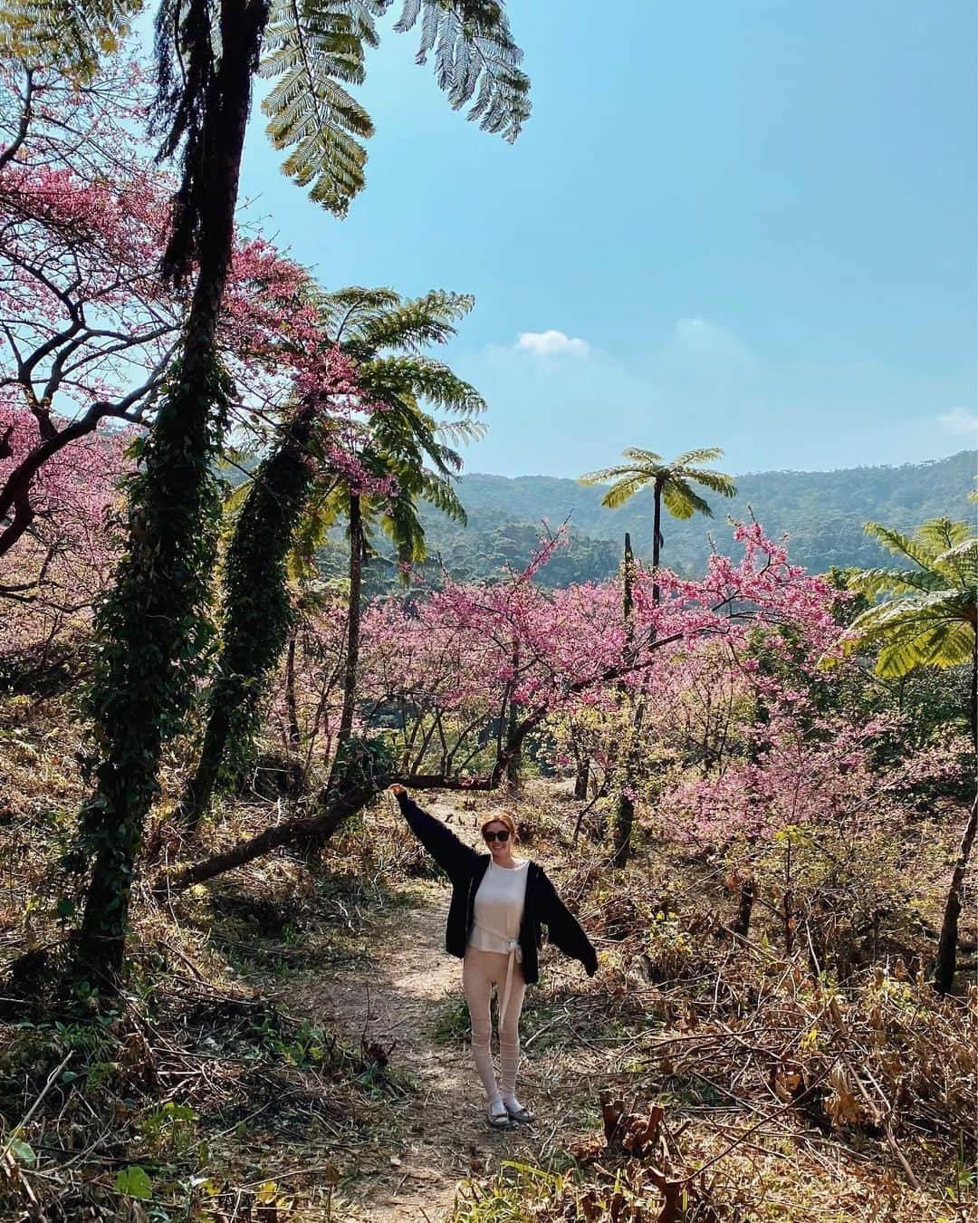 宮崎沙矢加のインスタグラム：「It's Cherry blossoms bloom here that was amazing view I was really able to relax n enjoy from mother nature🌸🌴💕💕💕 . . . #yoga #yogateacher #okinawa #cherryblossom #palmtrees #jungle #mothernature #meditation #yogalife #yogini #alo #aloyoga #alomoves #yogaburn #follow #ヨガ　#お花見　#寒緋桜　#沖縄　#ヨガインストラクター」