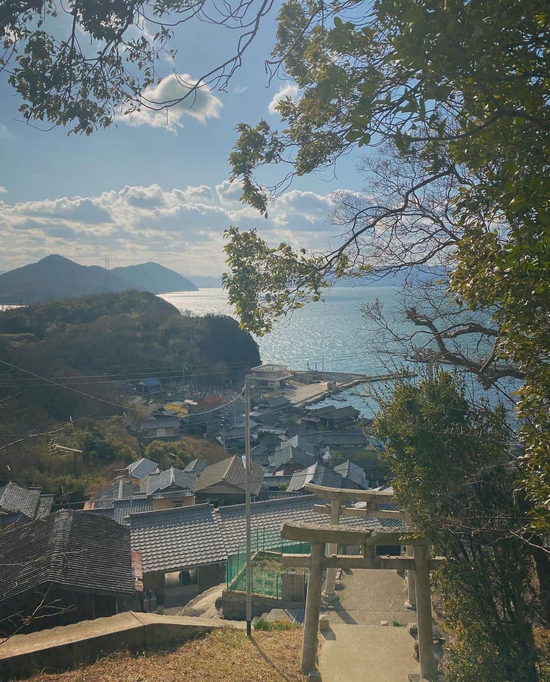 南琴里のインスタグラム：「透明に、そよそよと広がってゆく、穏やかな景色。。。 . . . 木の枝々の曲線が美しくて。 枝のように広がる、家屋も、美しくて。^^すき。 . . #島好き #穏やかに生きたい #景色写真 #男木島 #猫の島 #瀬戸内海 #高松 #瀬戸内海の島 #島巡り #日本の景色 #japaneselandscape #japan #ogijima #landscape」