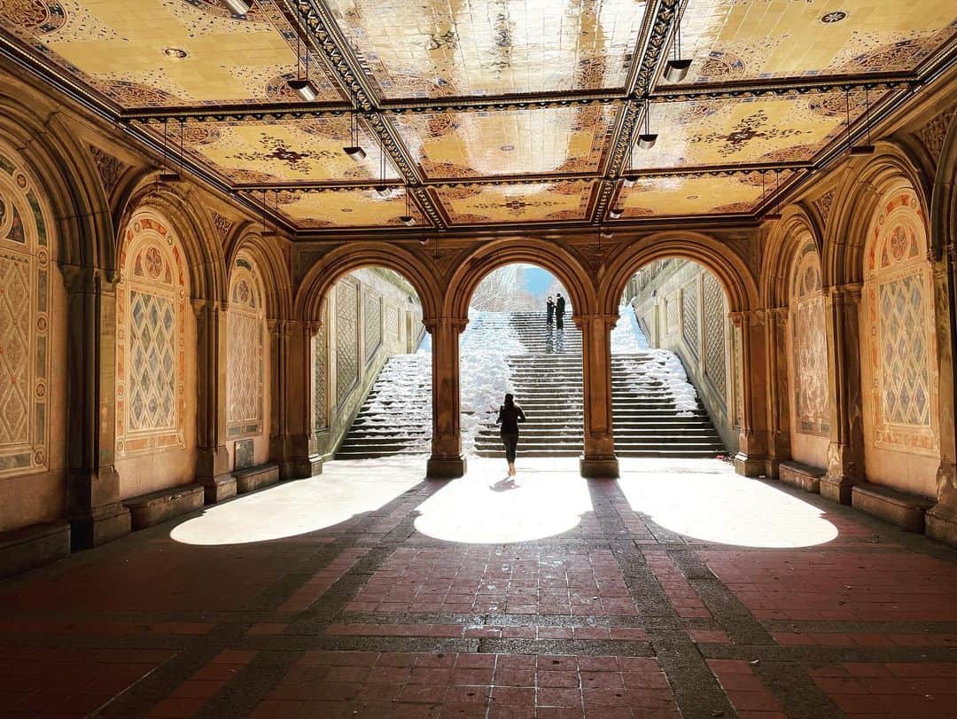 スコット・ローウェルさんのインスタグラム写真 - (スコット・ローウェルInstagram)「Monday in the Park With Snow (the horizontals)」2月9日 13時07分 - scolo222