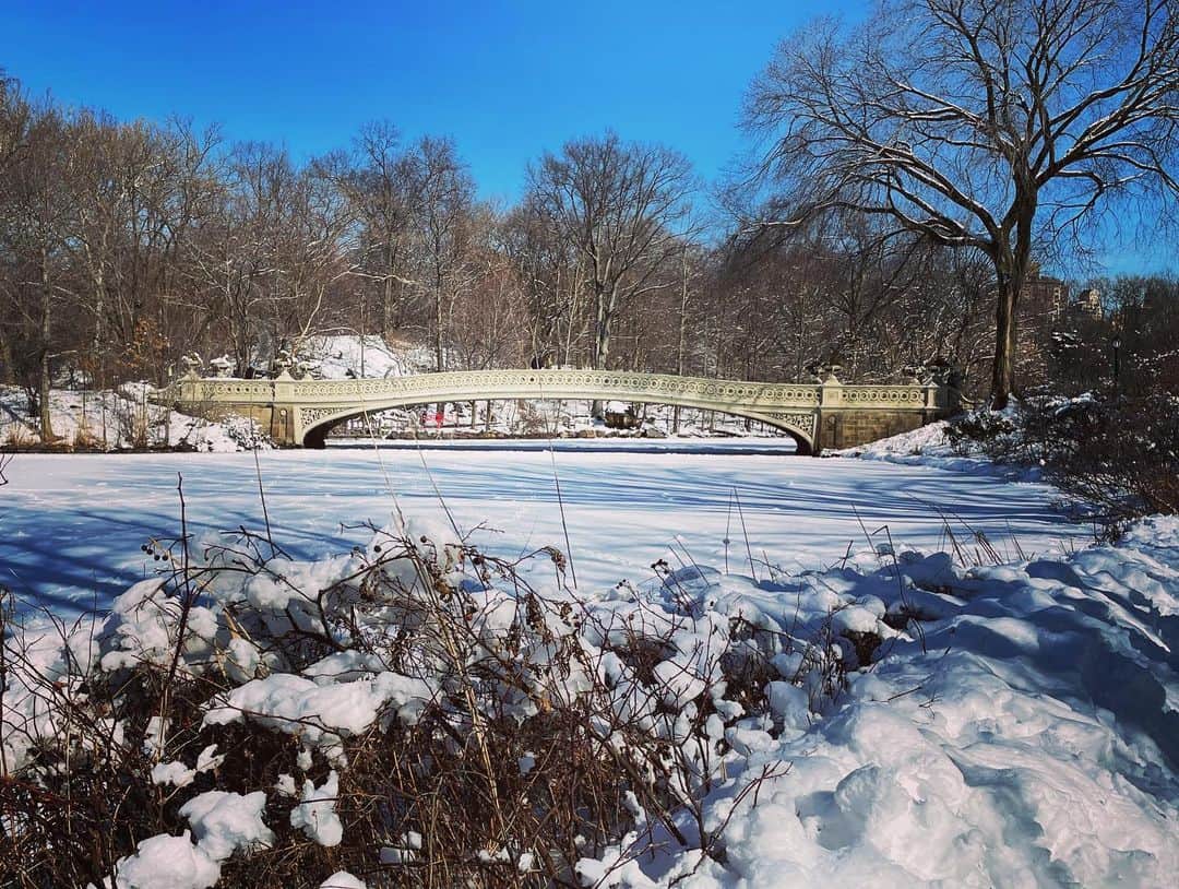スコット・ローウェルさんのインスタグラム写真 - (スコット・ローウェルInstagram)「Monday in the Park With Snow (the horizontals)」2月9日 13時07分 - scolo222