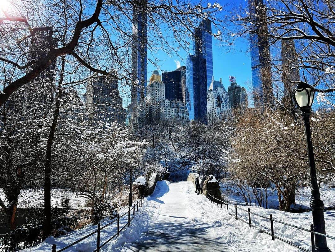 スコット・ローウェルさんのインスタグラム写真 - (スコット・ローウェルInstagram)「Monday in the Park With Snow (the horizontals)」2月9日 13時07分 - scolo222