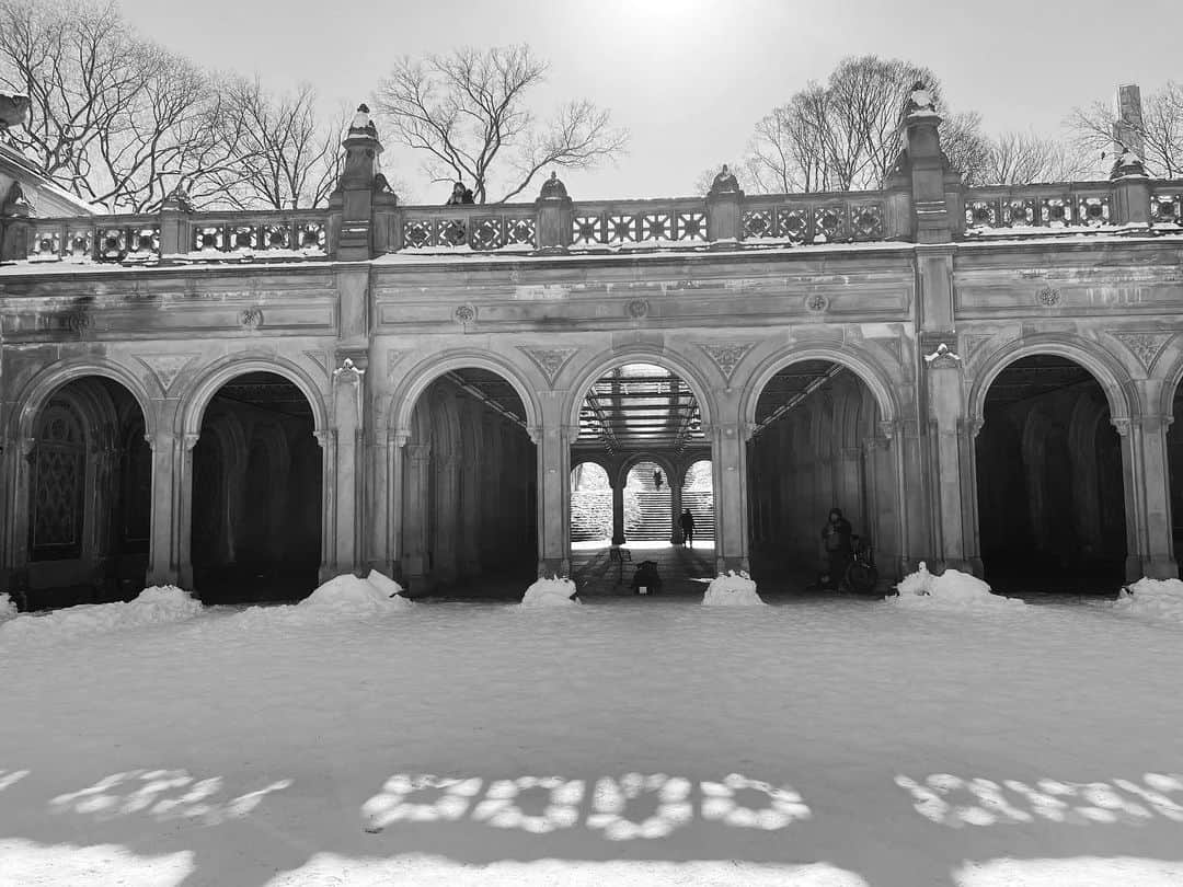 スコット・ローウェルのインスタグラム：「Monday in the Park With Snow (the horizontals)」