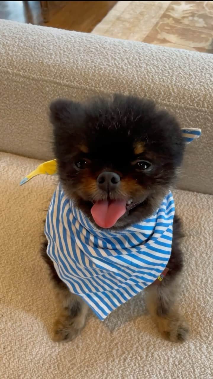 ライオネル・リッチーのインスタグラム：「🤦🏽‍♂️ I leave @sylvester.richie alone for 5 minutes and suddenly it’s fashion week」