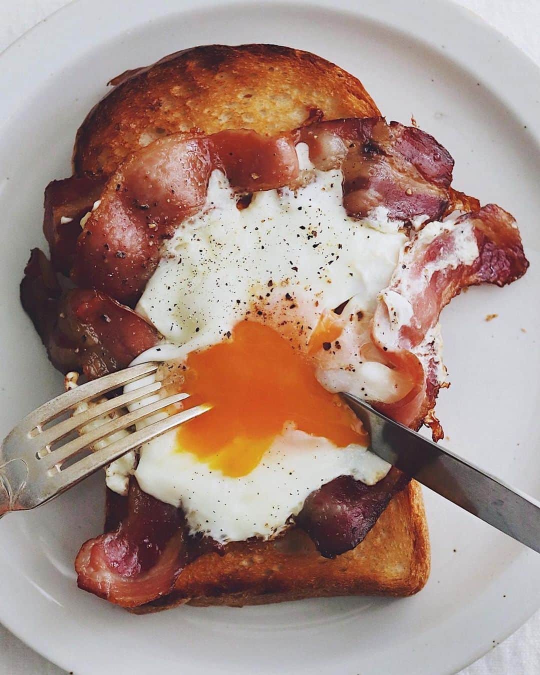 ANDERSEN アンデルセンさんのインスタグラム写真 - (ANDERSEN アンデルセンInstagram)「Bacon and eggs﻿ ﻿ by @higuccini  .﻿ 今朝はベーコンエッグ、﻿ いい感じに焼けました。﻿ トーストにのせただけ﻿ シンプルだけどご馳走。﻿ .﻿ .﻿ #ベーコンエッグ #目玉焼きトースト #ラピュタパン#美味しいベーコン #おうちごはん #おうち時間 #baconandeggs ﻿ #toastforall #toast #bacon #🍳 ﻿ ﻿ #モーニング #モーニングセット #イギリスパン #山型パン #山食 #食パン #トースト #アンデルセン #アンデルセンのパン #パンのある暮らし #パンのある生活 #パンスタグラム #パン大好き #ヒュッゲ  #andersen #hygge #bread #breadlover ﻿」2月9日 13時38分 - andersen_official_jp