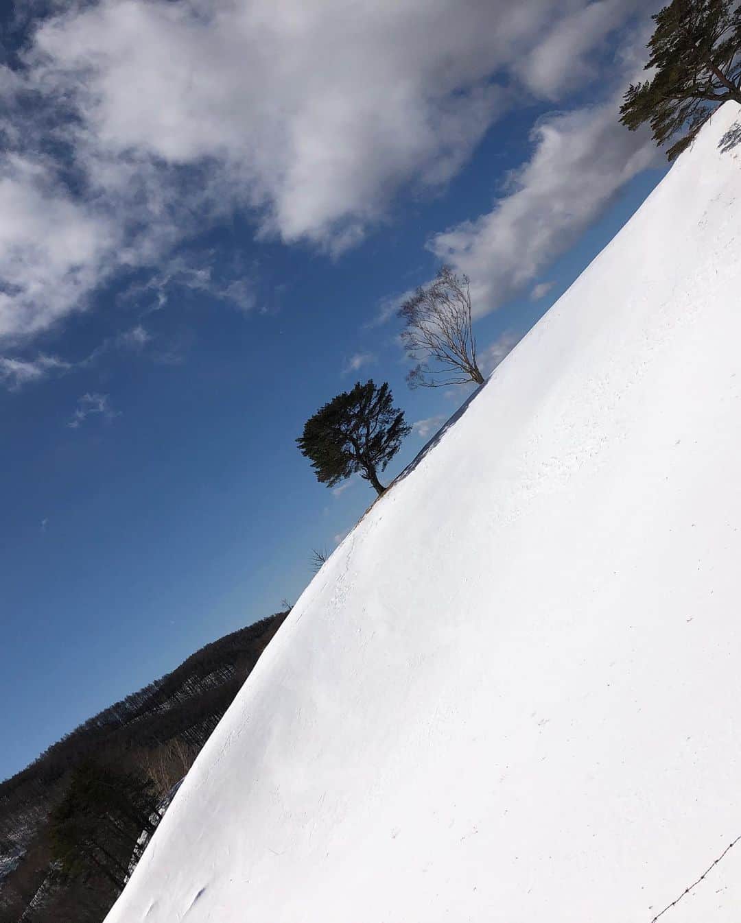 山本幸平さんのインスタグラム写真 - (山本幸平Instagram)「入笠山、標高1800mでのスノーシューは大自然を身体全身で感じられる最高のアイテム I really enjoy this winter times. @oakleyjapan @bioracerjapan」2月9日 13時43分 - kohey55