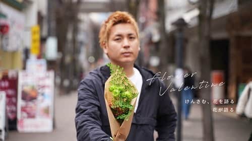けんさむのインスタグラム：「けんさむ🐶です💐 植物好きな僕が「#フラワーバレンタイン 」を語ります💘 家用に花を買う人が急増中❓🥺🌼🌷🌻 📍#フラワーハウスNoel #駕町 . 詳しくはプロフィールURLからブログみてはいよ🙋‍♂️💐 . いいね👍フォロー👯‍♂️Thankyou😇✨ 皆さんの熊本のお気に入りを教えてください🌿 コメント📝メッセージ💭待ってます🐶🎶 . #けんさむの熊本紹介 #熊本 #熊本グルメ #くまモン #けんさむ #熊本観光 #熊本県 #kumamoto #熊本lunch #熊本ランチ #熊本花屋 #ハッピーバレンタイン #フラワー #noel #花を贈ろう #花ニスタ #loveforever #花」