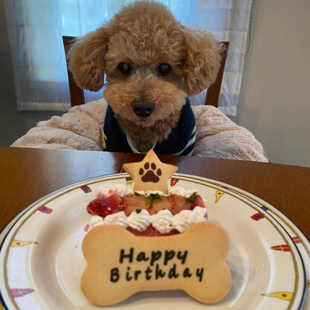 神田穣さんのインスタグラム写真 - (神田穣Instagram)「Happy birthday 15 🥳」2月9日 14時22分 - joekanda0722