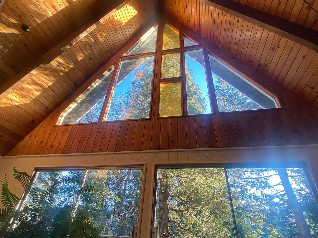 glorianotoのインスタグラム：「The morning light in our treehouse 🌱🌈 when people ask me if I miss living in LA , I say a very large “Hellll no”. ( but I’m only an hour and a half away , so it’s chill ) best of both worlds. Come be my neighbor」